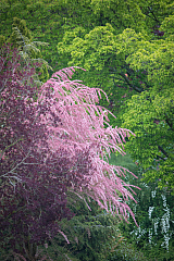 20190505100022 1649