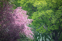 20190505100242 1671
