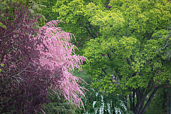 20190505102510 1672