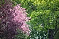 20190505102519 1674