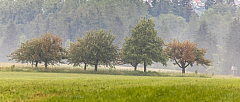 20190610184743 6450