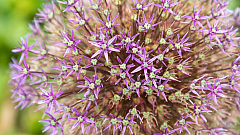 20190611105618 6498