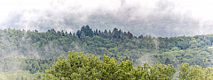 20190616080424 pano