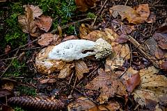20191110131308 5923