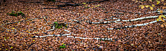 20191110133419 pano