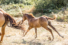 20190816172626 3357