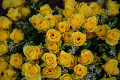 20191004152353 5665