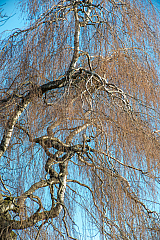 20200315180005 8210