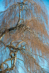 20200315180010 8216