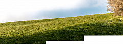 20200412190135 pano
