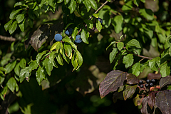20200905093553 9699