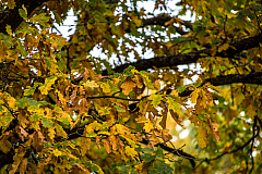 20201025170802 0731