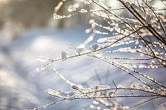 20210115092419 3030