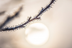 2021-02-12 WINTER