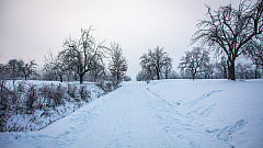20210212082626 013569