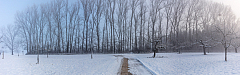20210212084728 pano