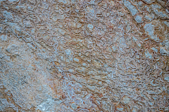 20210601210833 8851
