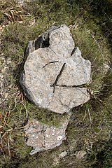 20210603114522 6561