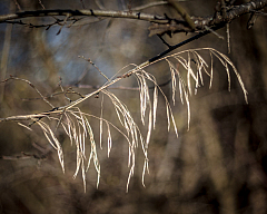 20220101131756 013043