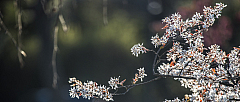 20220418175528 2122