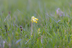 April