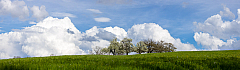 20230423151038 pano