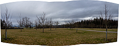 20230312092501 pano